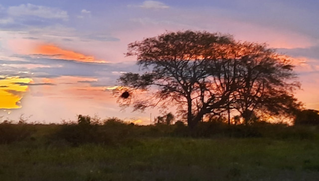 Cenas da Fazenda BELLA